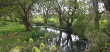 La Riserva Ciane e Saline